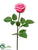 Rose Spray - Rose Two Tone - Pack of 12