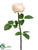 Rose Spray - Peach - Pack of 12