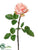 Rose Spray - Rose Two Tone - Pack of 12