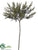 Rosemary Branch - Green Two Tone - Pack of 6