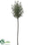 Rosemary Branch - Green Two Tone - Pack of 6
