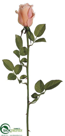 Rose Bud Spray - Peach - Pack of 12