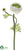 Double Ruffle Ranunculus Spray - Cream - Pack of 12