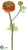 Double Ruffle Ranunculus Spray - Orange - Pack of 12