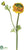 Double Ruffle Ranunculus Spray - Yellow Gold - Pack of 12