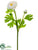 Silk Plants Direct Ranunculus Spray - Coral - Pack of 12