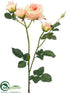 Silk Plants Direct Rose Spray - Peach - Pack of 12