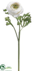 Silk Plants Direct Ranunculus Spray - Cream Burgundy - Pack of 12