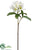 Rhododendron Spray - White Lime - Pack of 12