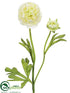 Silk Plants Direct Ranunculus Spray - Cream - Pack of 12