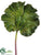 Rhubarb Large Leaf Spray - Green - Pack of 6