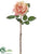 Rose Spray - Peach Cream - Pack of 12