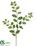 Silk Plants Direct Solomon's Seal Spray - Green - Pack of 12