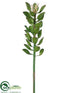 Silk Plants Direct Giant Sedum Spray - Green - Pack of 4