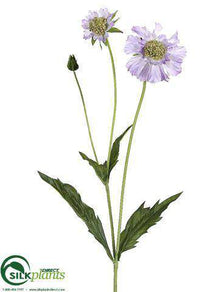 Scabiosa Spray - Lilac - Pack of 12