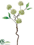 Silk Plants Direct Snowball Spray - Cream Green - Pack of 12