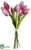 Tulip Bundle - Beauty Light - Pack of 12