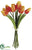 Tulip Bundle - Talisman - Pack of 12