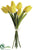 Tulip Bundle - Yellow - Pack of 12