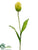 Tulip Spray - Green Yellow - Pack of 12