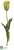 Tulip Spray - Green - Pack of 12