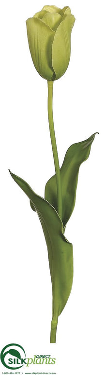 Tulip Spray - Green - Pack of 12