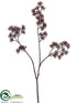 Silk Plants Direct Thistle Spray - Burgundy - Pack of 12