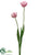 Tulip Spray - Pink - Pack of 12
