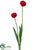 Tulip Spray - Red - Pack of 12