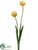 Tulip Spray - Yellow - Pack of 12