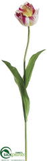 Silk Plants Direct Tulip Spray - Cream Beauty - Pack of 12