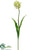 Tulip Spray - Cream Green - Pack of 12