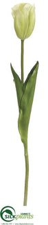 Silk Plants Direct Tulip Spray - Green - Pack of 12