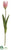 Tulip Spray - Pink Green - Pack of 12