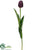 Tulip Spray - Eggplant - Pack of 12
