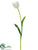 Tulip Spray - Cream - Pack of 12