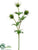 Thistle Spray - Green - Pack of 12