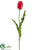 Dutch Tulip Spray - Red Green - Pack of 24