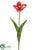 Giant Parrot Tulip Spray - Cerise Green - Pack of 12