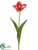 Giant Parrot Tulip Spray - Cerise Green - Pack of 12