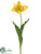 Giant Parrot Tulip Spray - Yellow Gold - Pack of 12
