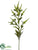 Spike Veronica Spray - Green - Pack of 12