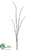 Wild Pussy Willow Branch - Gray - Pack of 12