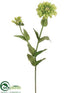 Silk Plants Direct Zinnia Spray - Green - Pack of 12