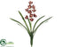 Silk Plants Direct Mini Cymbidium Orchid Spray - Burgundy - Pack of 6