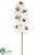Large Phalaenopsis Orchid Spray - Burgundy Cream - Pack of 6