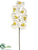 Large Phalaenopsis Orchid Spray - Cream White - Pack of 6