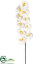 Silk Plants Direct Large Phalaenopsis Orchid Spray - Cream White - Pack of 6