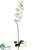Phalaenopsis Orchid Spray - Cream White - Pack of 6