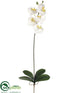 Silk Plants Direct Phalaenopsis Orchid Spray - White Yellow - Pack of 6